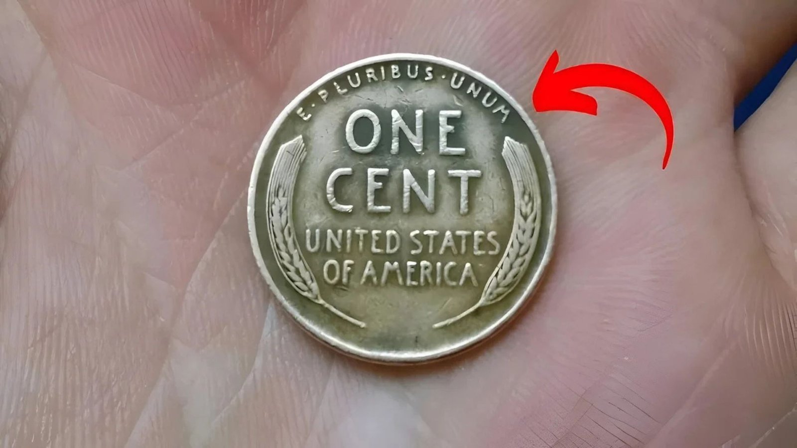 Rare Lincoln Wheat Penny Worth Millions Still in Circulation